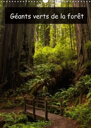 Geants Verts De La Foret 2017: Arbres Anciens Et Foret Tropicale De La Cote Nord-Ouest Americaine (Calvendo Nature) Photography