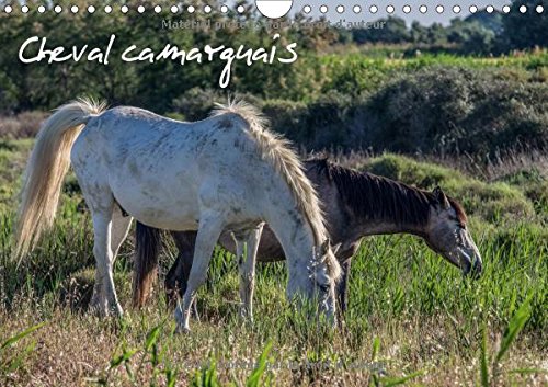 Cheval Camarguais 2017: La Beaute Du Cheval Semi-Sauvage (Calvendo Animaux) Geology & Geography