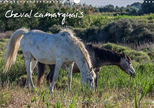 Cheval Camarguais 2017: La Beaute Du Cheval Semi-Sauvage (Calvendo Animaux) Geology & Geography
