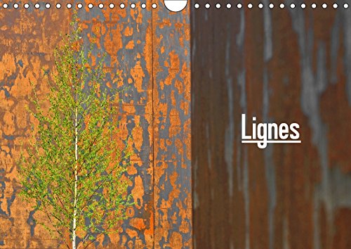 Lignes 2017: Architecture Contemporaine (Calvendo Places) Mathematics