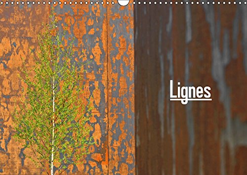 Lignes 2017: Architecture Contemporaine (Calvendo Places) Mathematics
