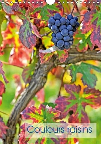 Couleurs Raisins 2017: Grappes De Raisins (Calvendo Nature) Mathematics