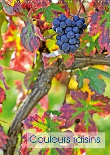 Couleurs Raisins 2017: Grappes De Raisins (Calvendo Nature) Mathematics