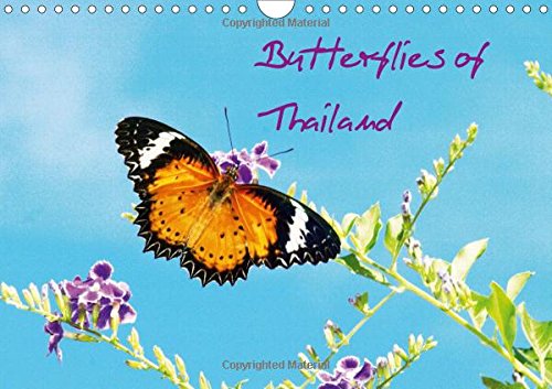 Butterflies of Thailand 2017: Selected for Their Colour Design! (Calvendo Animals) Mathematics