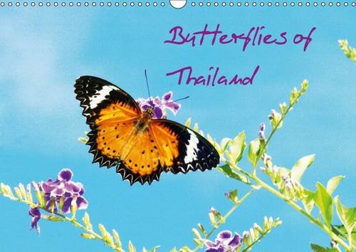 Butterflies of Thailand 2017: Selected for Their Colour Design! (Calvendo Animals) Mathematics