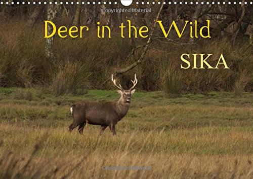 Deer in the Wild Sika 2017: Wild Sika Deer Photographed in Their Natural Surroundings (Calvendo Nature) Mathematics