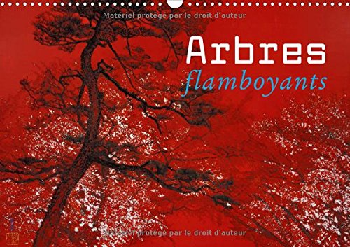 Arbres Flamboyants 2017: Peinture Japonaise Contemporaine (Calvendo Art) Film, Art & Culture
