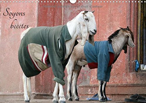 Soyons Beeetes 2017: Soyons Beeetes - Voyage Animalier (Calvendo Animaux) Pets