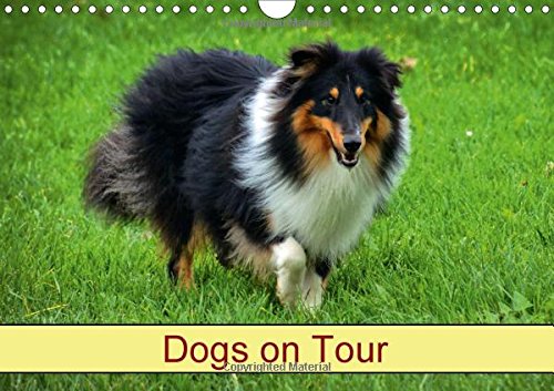 Dogs on Tour 2017: Pedigree Dogs (Calvendo Animals) Pets