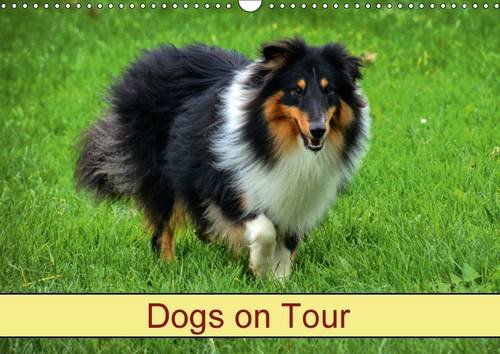 Dogs on Tour 2017: Pedigree Dogs (Calvendo Animals) Pets