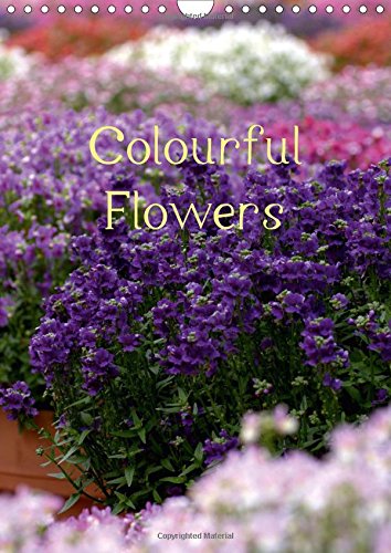 Colourful Flowers 2017: Stunning Images of Flowers (Calvendo Nature) Garden & Plants