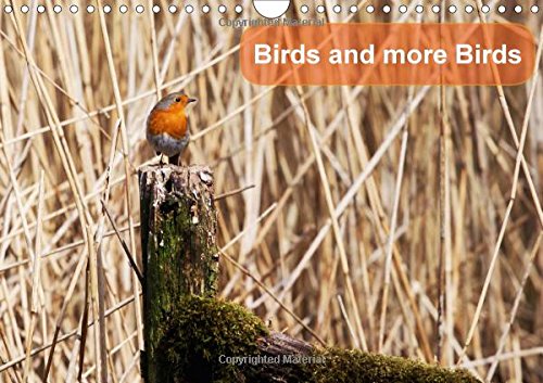 Birds and More Birds 2017: Birds of Britain and Europe (Calvendo Nature) Photography
