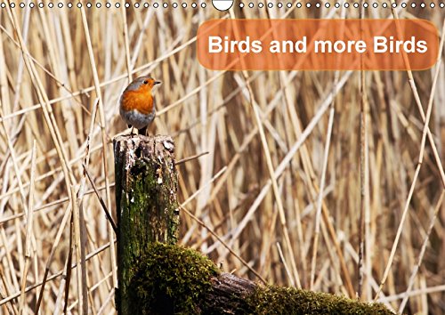 Birds and More Birds 2017: Birds of Britain and Europe (Calvendo Nature) Photography