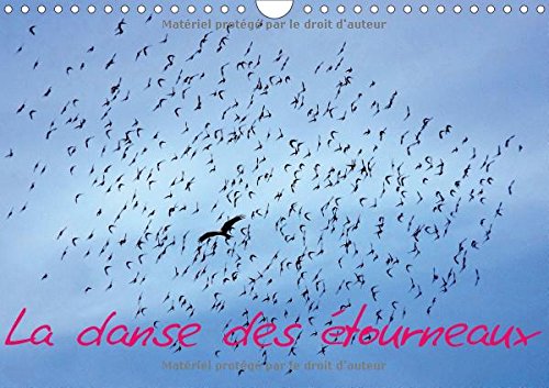 La Danse Des Etourneaux 2017: La Migration Des Etourneaux (Calvendo Animaux) Mathematics