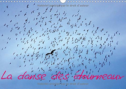La Danse Des Etourneaux 2017: La Migration Des Etourneaux (Calvendo Animaux) Mathematics