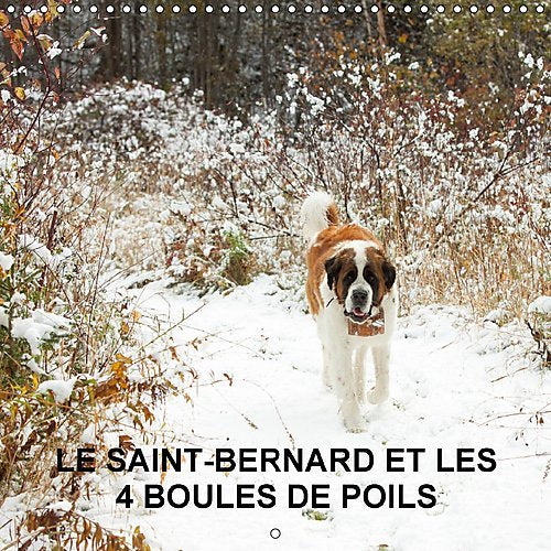 LE Saint-Bernard Et Les 4 Boules De Poils 2017: Gardiennage De 5 Animaux Domestiques En Pleine Nature (Calvendo Animaux) Books