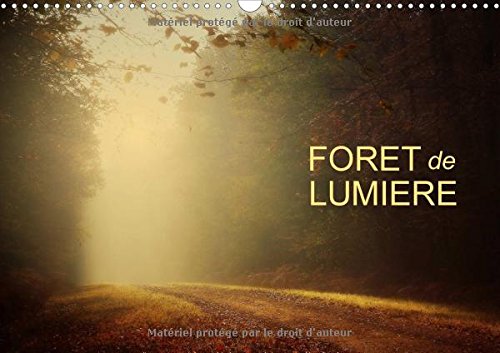 Foret De Lumiere 2017: Magie De L'ombre Et De La Lumiere Au c/Ur De La Foret (Calvendo Nature) Film, Art & Culture