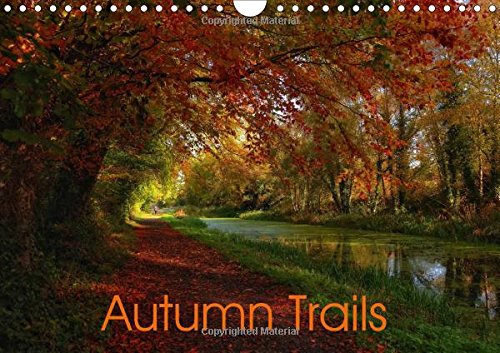Autumn Trails 2017: Immerse Yourself in Golden Autumn (Calvendo Nature) Travel