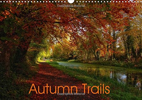 Autumn Trails 2017: Immerse Yourself in Golden Autumn (Calvendo Nature) Travel