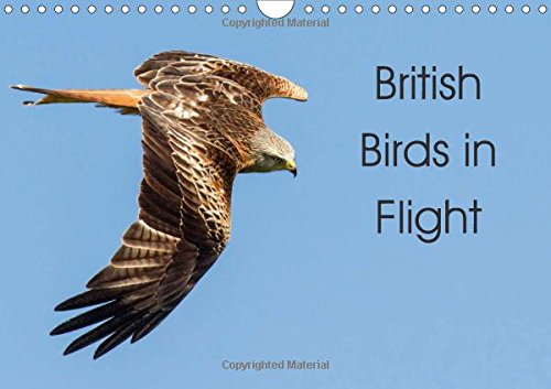 British Birds in Flight 2017: Birds of Britain in Flight (Calvendo Nature) Mathematics