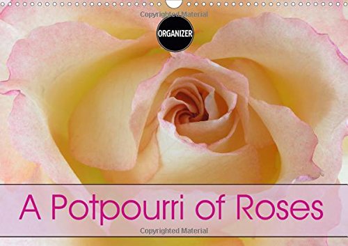 A Potpourri of Roses 2017: Roses - an Endless Story (Calvendo Nature) Garden & Plants