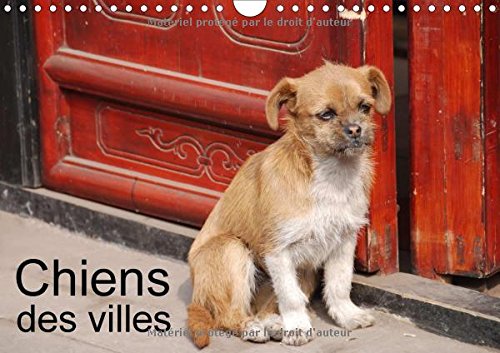 Chiens Des Villes 2017: La Vie Canine En Ville (Calvendo Animaux) Film, Art & Culture
