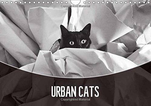 Urban Cats 2017: Black and White Photography (Calvendo Animals) Photography