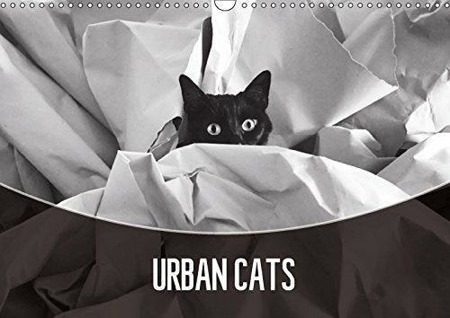 Urban Cats 2017: Black and White Photography (Calvendo Animals) Photography