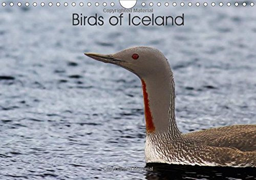 Birds of Iceland 2017: Beautiful Icelandic Birds (Calvendo Animals) Mathematics