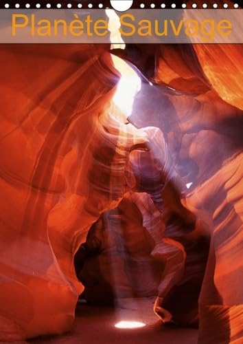 Planete Sauvage 2017: Cheminement En Images Vers Une Forme De Joie Et De Bonheur (Calvendo Nature) Geology & Geography