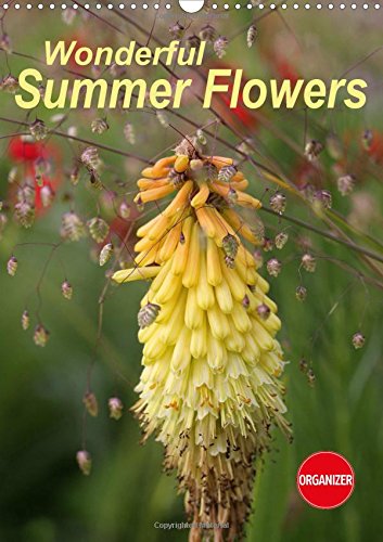 Wonderful Summer Flowers 2017: Endless Summer for 12 Months (Calvendo Nature) Garden & Plants