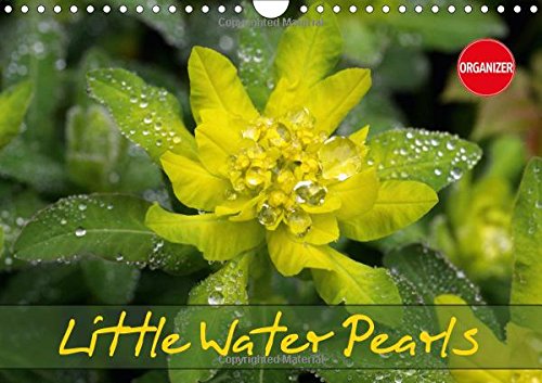 Little Water Pearls 2017: Droplets Adorn Plants and Blossoms (Calvendo Nature) Garden & Plants