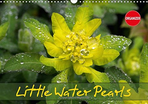 Little Water Pearls 2017: Droplets Adorn Plants and Blossoms (Calvendo Nature) Garden & Plants