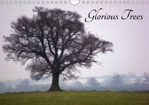 Glorious Trees 2017: Beautiful Photographs of Trees for Every Month of the Year. (Calvendo Nature) Travel Books