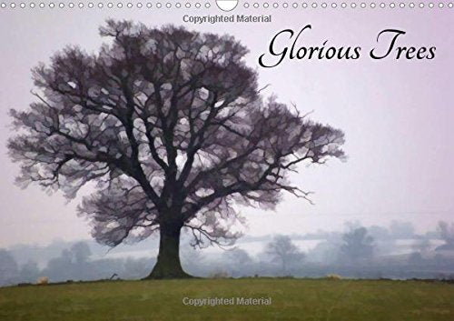 Glorious Trees 2017: Beautiful Photographs of Trees for Every Month of the Year. (Calvendo Nature) Travel Books