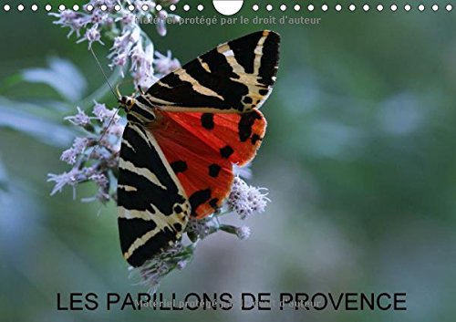 Les Papillons De Provence 2017: Les Beaux Papillons Aux Couleurs De La Provence. (Calvendo Nature) Mathematics