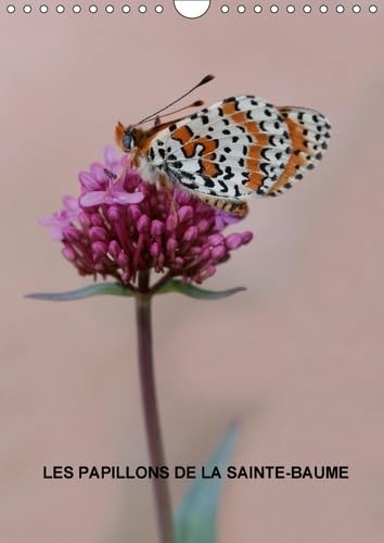 Les Papillons De La Sainte-Baume 2017: Les Magnifiques Papillons De La Sainte-Baume (Calvendo Nature) Mathematics