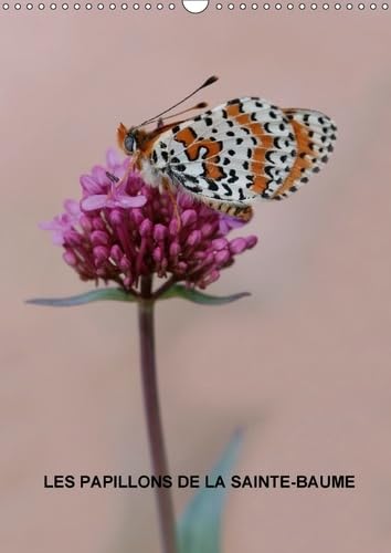 Les Papillons De La Sainte-Baume 2017: Les Magnifiques Papillons De La Sainte-Baume (Calvendo Nature) Mathematics