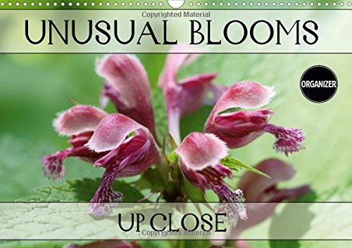 Unusual Blooms Up Close 2017: A Potpourri of Peculiar Blossoms (Calvendo Nature) Film, Art & Culture