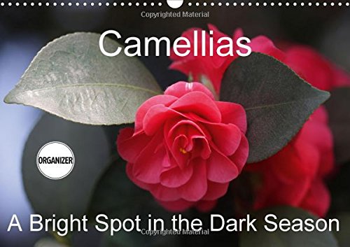 Camellias A Bright Spot in the Dark Season 2017: Extraordinary Flowers in Winter (Calvendo Nature) Garden & Plants