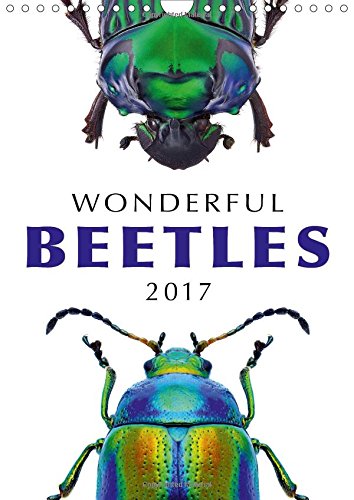 Wonderful Beetles 2017: Intriguing Close Shots of the Most Beautiful Beetles. (Calvendo Nature) Mathematics