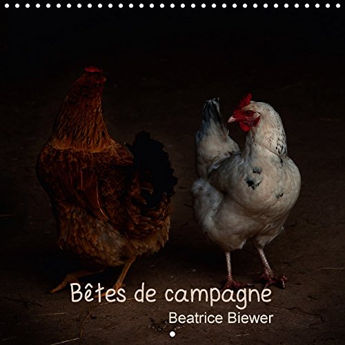 Bêtes de campagne (Calendrier mural 2018 300 × 300 mm Square): Des animaux de nos campagnes (Calendrier mensuel, 14 Pages ) book