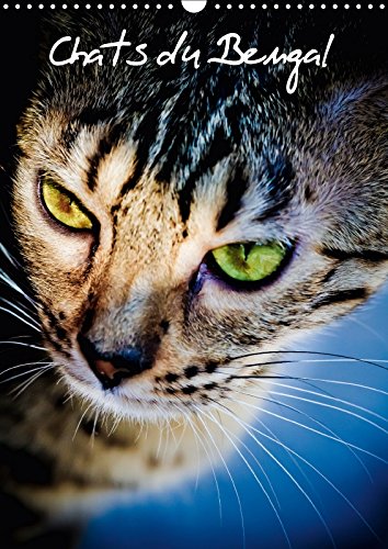 Chats du Bengal (Calendrier mural 2018 DIN A3 vertical) Dieser erfolgreiche Kalender wurde dieses Jahr mit gleichen Bildern und aktualisiertem ... et leur maman (Calendrier mensuel, 14 Pages ) book