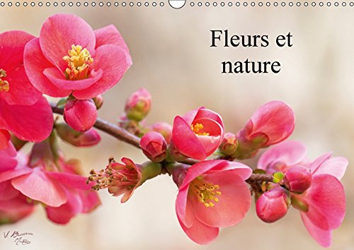 Fleurs et nature (Calendrier mural 2018 DIN A3 horizontal) Dieser erfolgreiche Kalender wurde dieses Jahr mit gleichen Bildern und aktualisiertem ... des saisons (Calendrier mensuel, 14 Pages ) book