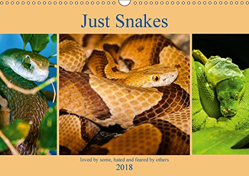 Just Snakes (Wall Calendar 2018 DIN A3 Landscape): Loved by some, hated and feared by others (Monthly calendar, 14 pages ) (Calvendo Animals) Film, Art & Culture