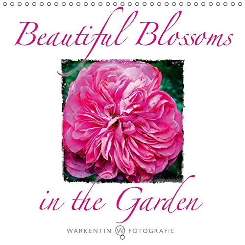 Beautiful Blossoms in the Garden (Wall Calendar 2018 300 × 300 mm Square): 12 wonderful images of a local garden in summer (Monthly calendar, 14 pages ) (Calvendo Nature) Photography