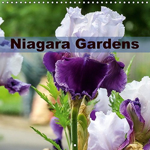 Niagara Gardens (Wall Calendar 2018 300 × 300 mm Square): From my collection of photos taken this year around my city St. Catharines ON Canada (Monthly calendar, 14 pages ) (Calvendo Places) Travel Books