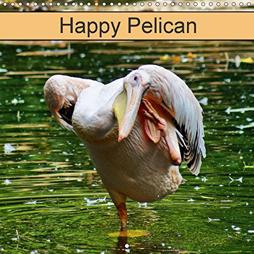 Happy Pelican (Wall Calendar 2018 300 × 300 mm Square): Wild Birds and Animals (Monthly calendar, 14 pages ) (Calvendo Animals) Film, Art & Culture
