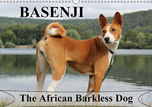 Basenji the African Barkless Dog (Wall Calendar 2018 DIN A3 Landscape): The Basenji is a dog breed coming from central Africa (Birthday calendar, 14 pages ) (Calvendo Animals) Pets