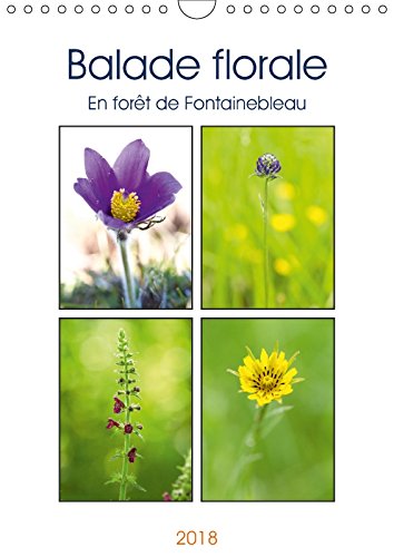 Balade florale en forêt de Fontainebleau (Calendrier mural 2018 DIN A4 vertical): Découvrez une jolie fleur sauvage de la forêt de Fontainebleau ... ... De La Foret De Fontainebleau Chaque Mois. Leisure, Home & Garden